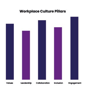 Culture Insight Image